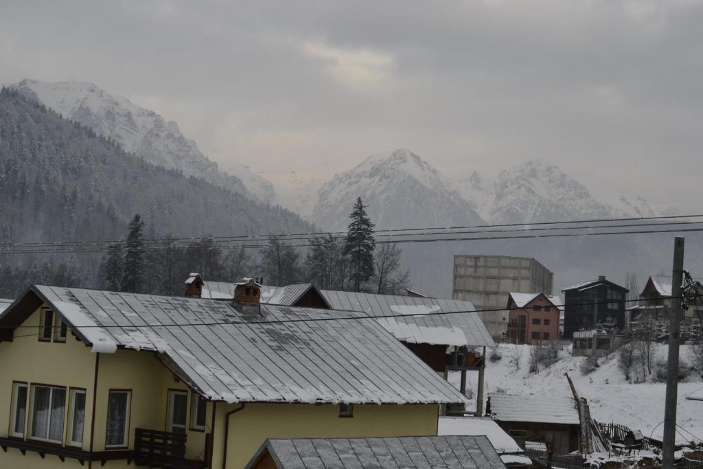 Miraj Hotel Azuga Bagian luar foto